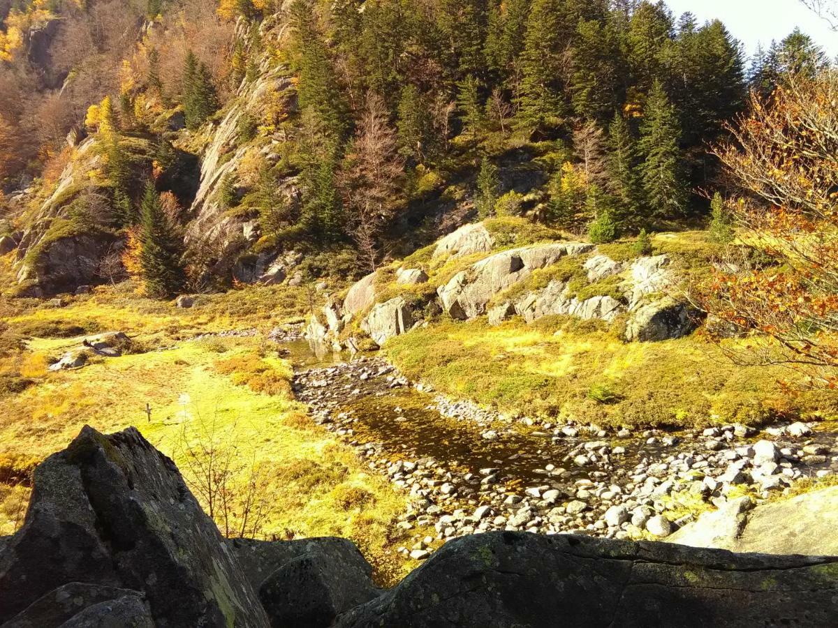 Appartement A La Montagne Aulus les Bains Bagian luar foto